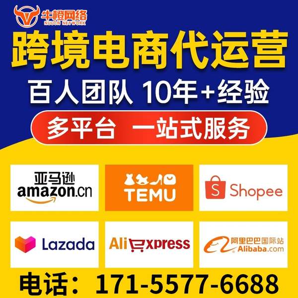 渭南电商代运营