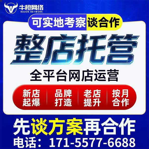 渭南电商代运营