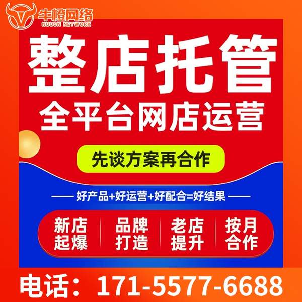 渭南电商代运营