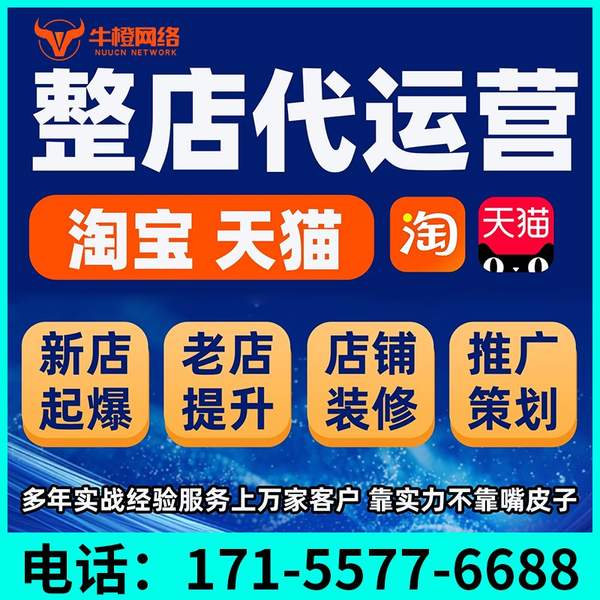 渭南电商代运营