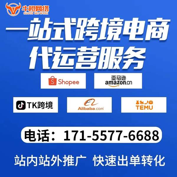 渭南电商代运营