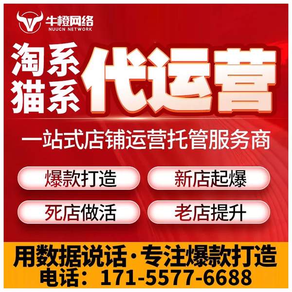 渭南电商代运营